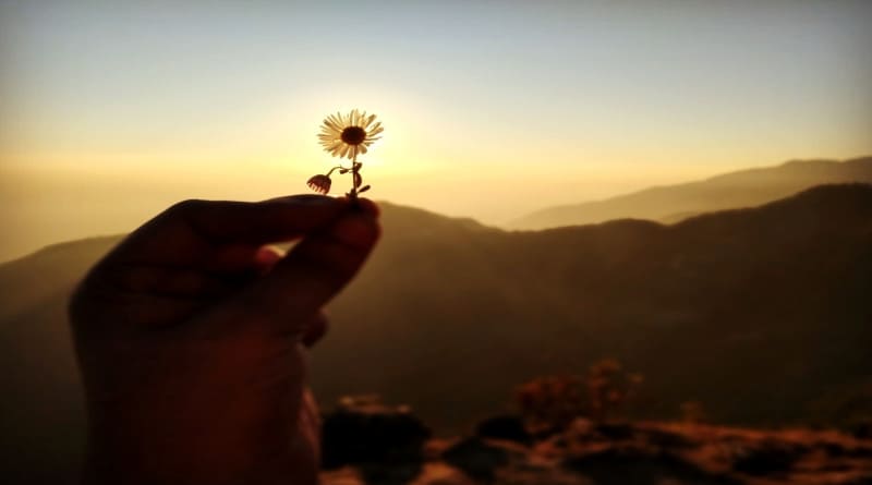 Close da foto de uma pessoa segurando uma flor contra o céu durante o pôr do sol