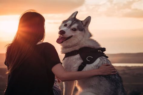 Foto linda garota brincando com cachorro ao pôr do sol