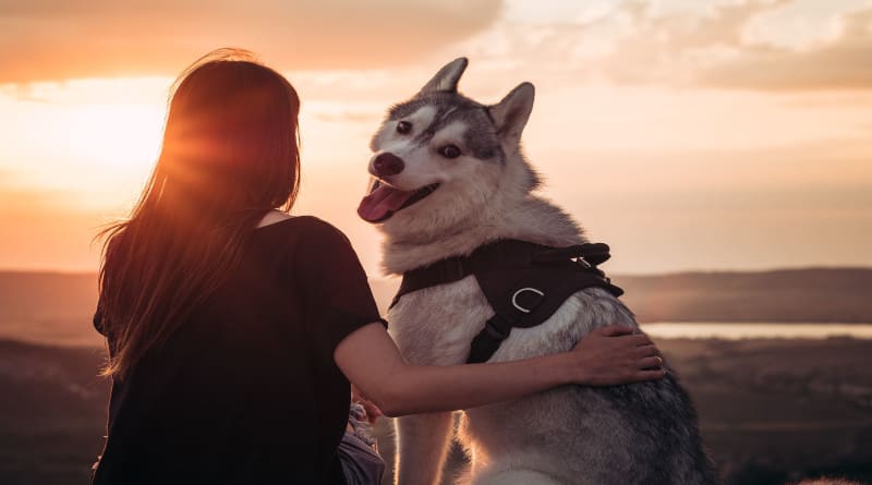 Foto linda garota brincando com cachorro ao pôr do sol