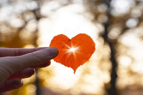 Foto folha em forma de coração vermelho em uma mão com o sol brilhando através dela