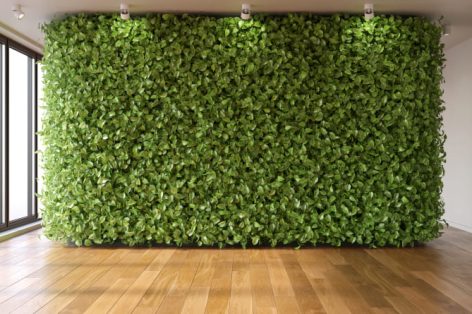 Parede verde em quarto vazio Ecostyle no interior 3d