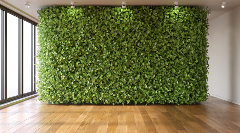Parede verde em quarto vazio Ecostyle no interior 3d