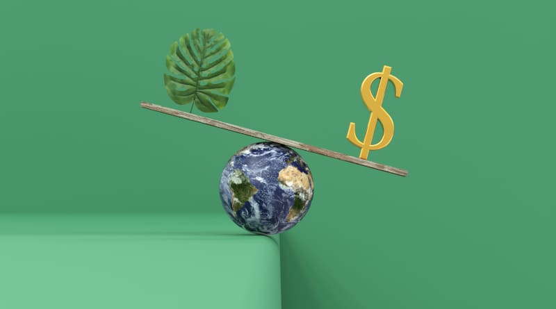 Capitalismo Consciente: O Caminho para um Futuro Sustentável